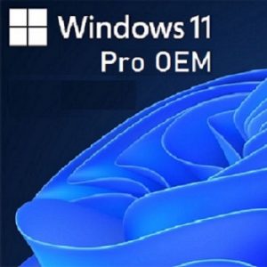 windows 11 pro oem