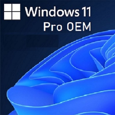windows 11 pro oem